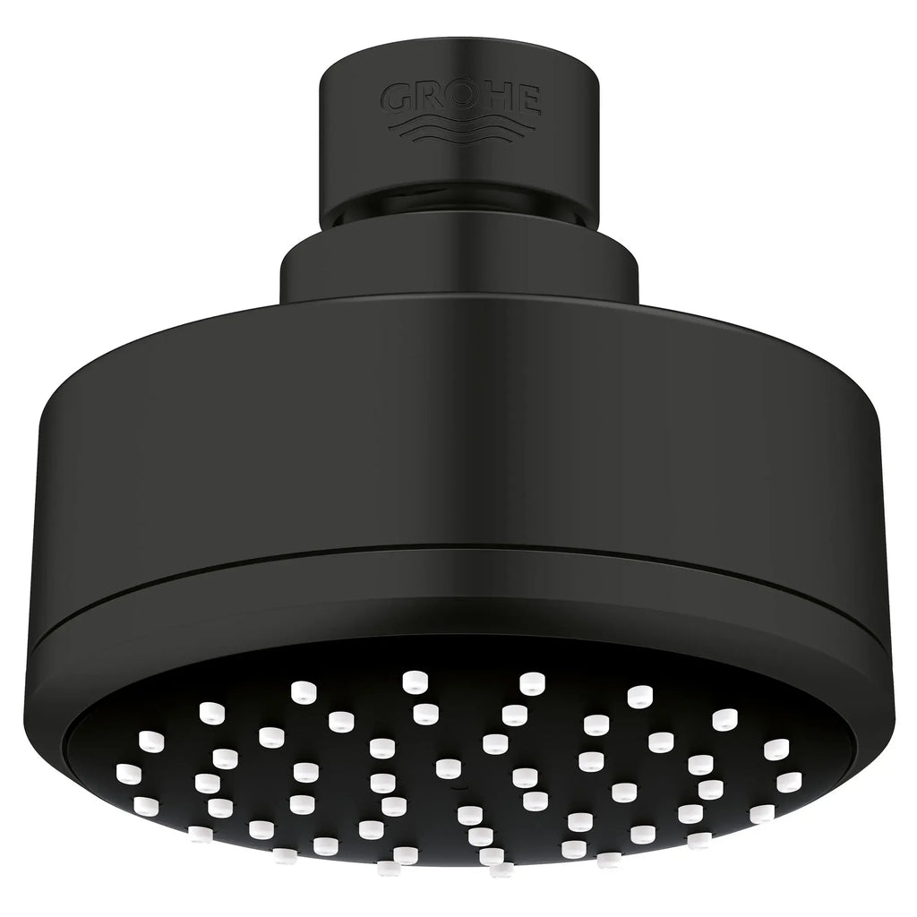 100 Shower Head, 4" - 1 Spray, 1.5 gpm (5.7 L/min)