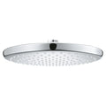 250 Rain Shower Head, 9 7?8" - 1 Spray, 1.75 GPM (6.6 L/min)