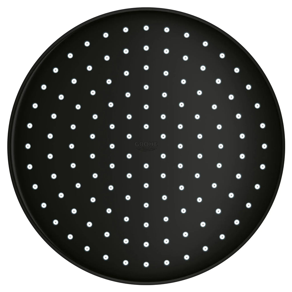 250 Rain Shower Head, 9 7?8" - 1 Spray, 1.75 GPM (6.6 L/min)