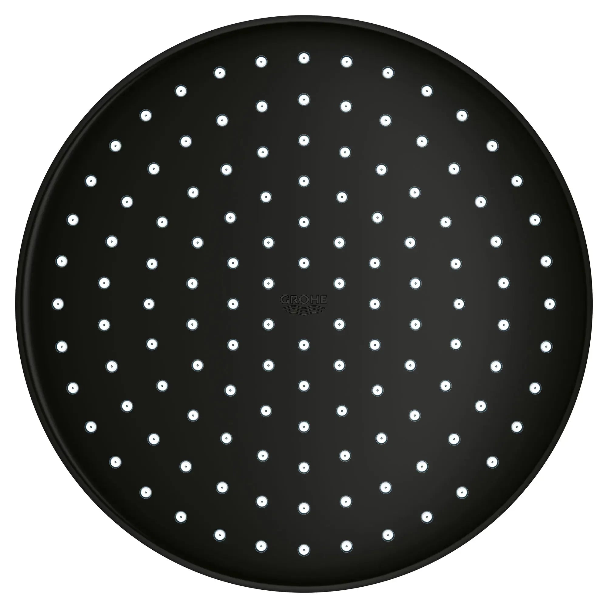 250 Rain Shower Head, 9 7?8" - 1 Spray, 1.75 GPM (6.6 L/min)