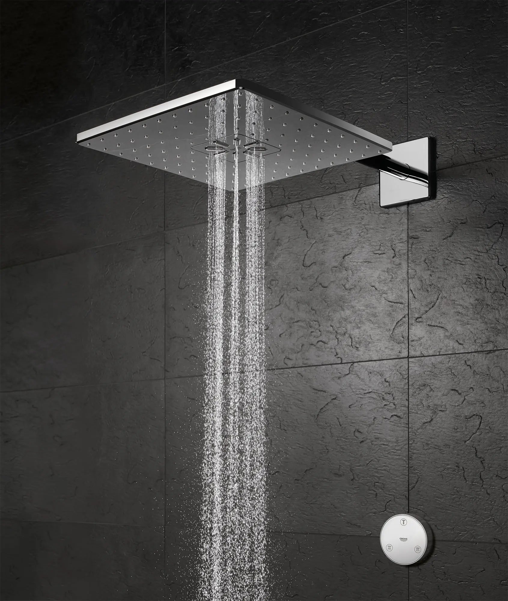 Shower Head with Remote, 12" - 2 Sprays, 1.75 GPM (6.6 L/min)