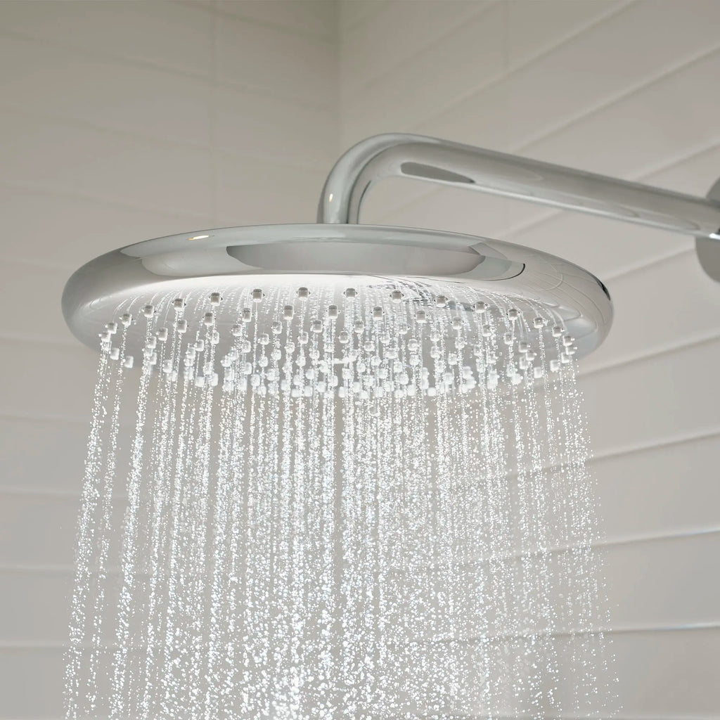 250 Rain Shower Head, 9 7?8" - 1 Spray, 1.75 GPM (6.6 L/min)