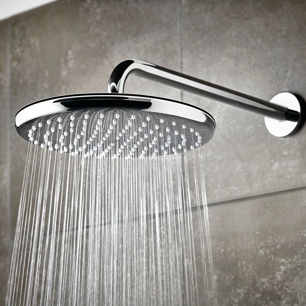 250 Rain Shower Head, 9 7?8" - 1 Spray, 1.75 GPM (6.6 L/min)