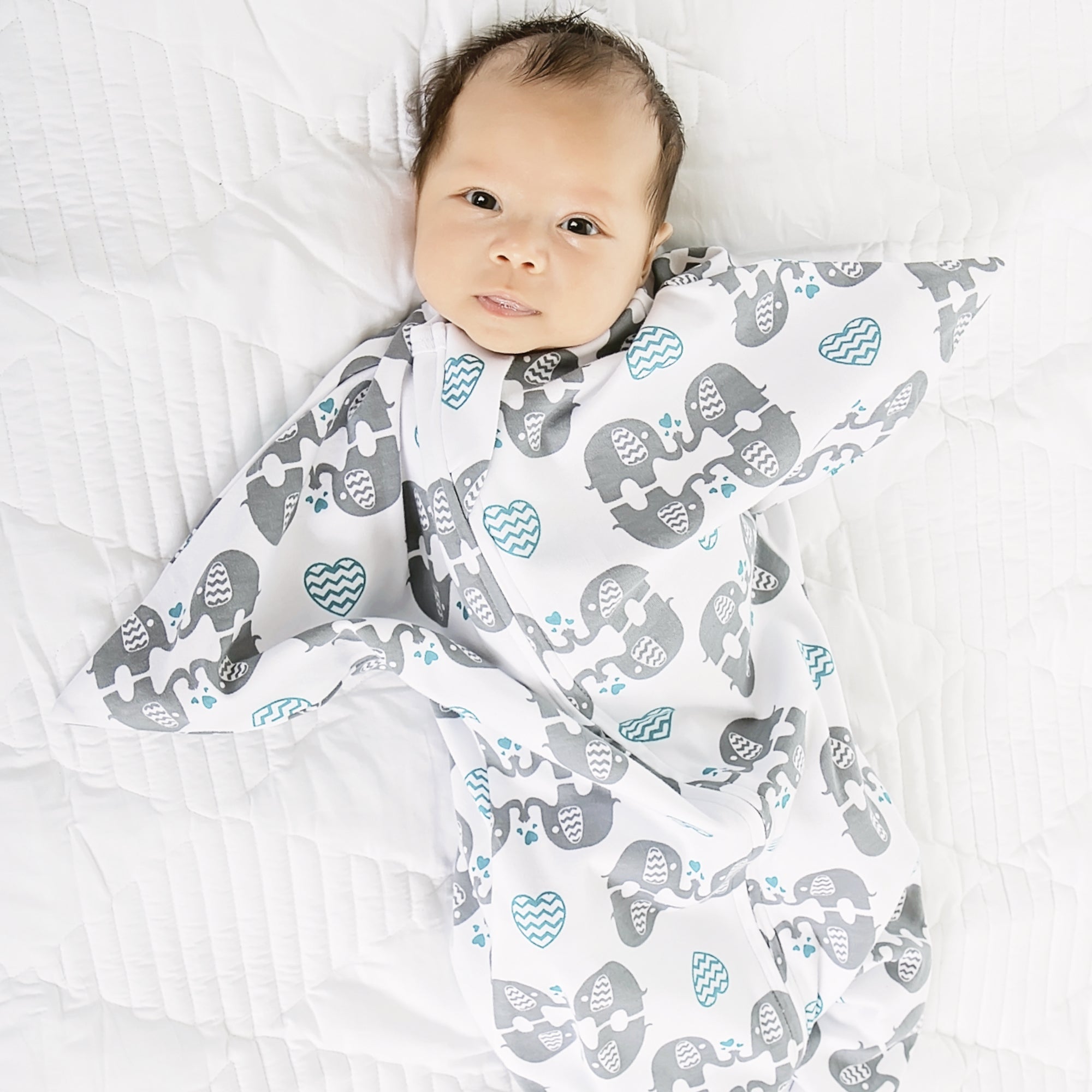 Sleeping Baby Zoo Pals Zipadee-Zip Swaddle Transition